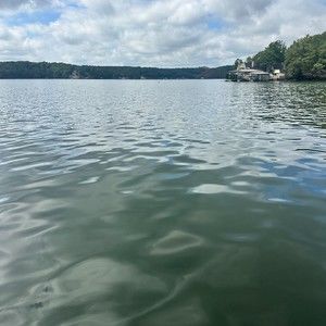 Meet your Posher, Pamela